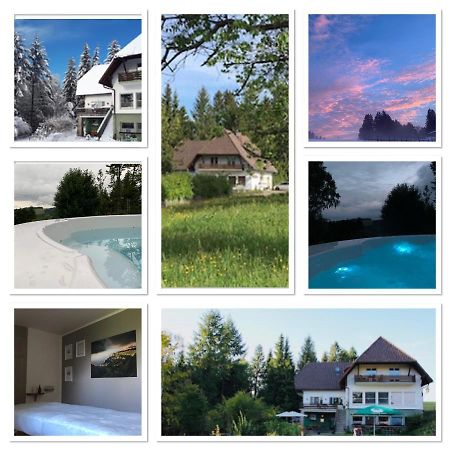 B & B Der Waldvogel Herrischried エクステリア 写真