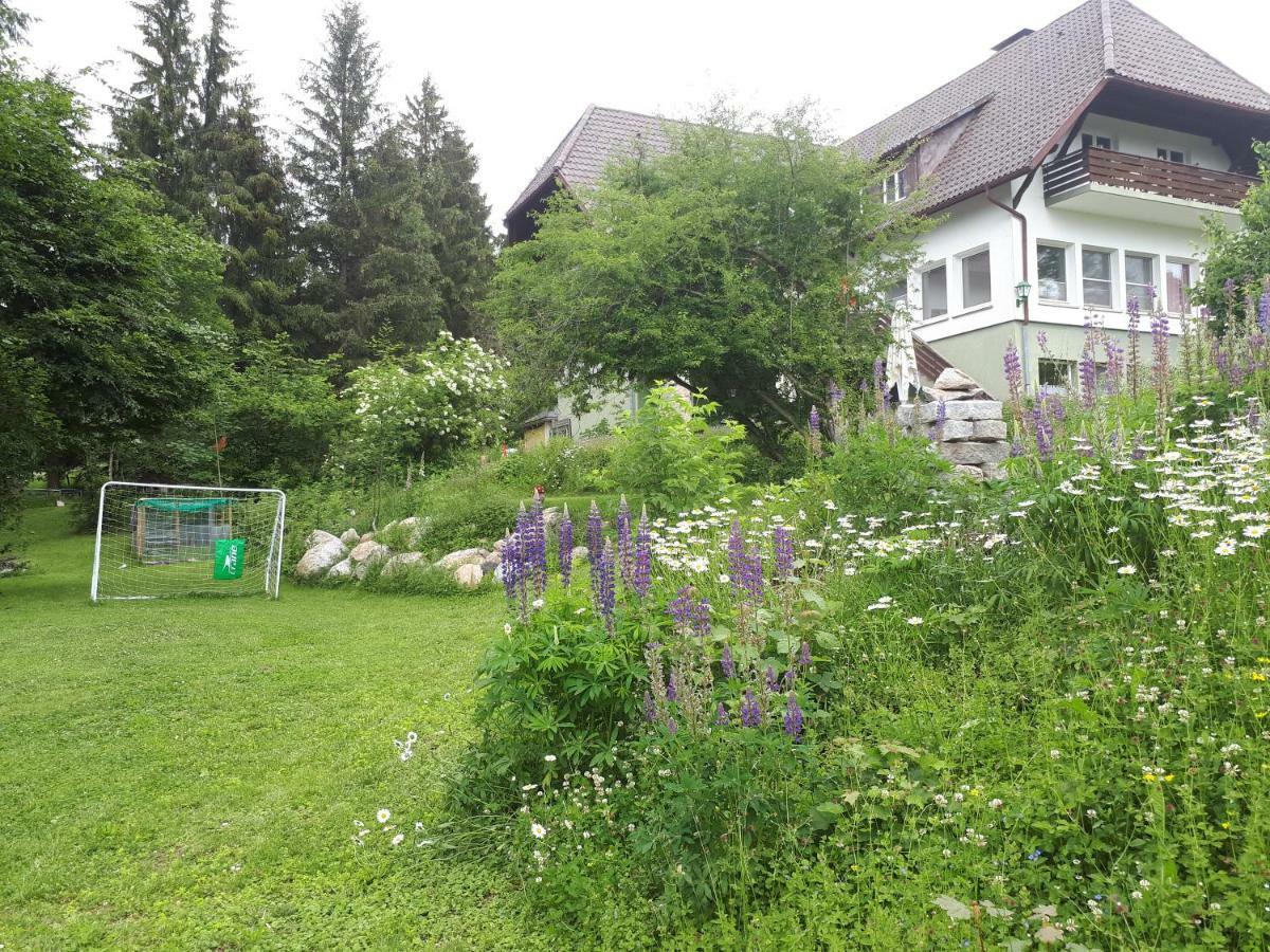 B & B Der Waldvogel Herrischried エクステリア 写真